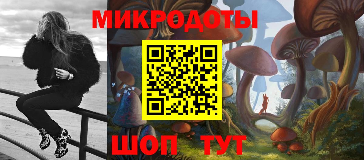 Дзержинск  Галлюциногенные грибы прущие грибы  Вход с VPN 