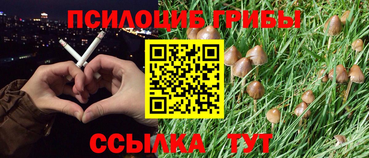 Псилоцибиновые грибы ЛСД Дзержинск